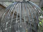 Antique Iron Bird Cage 1950年代のアイアン製　アンティークの鳥かご