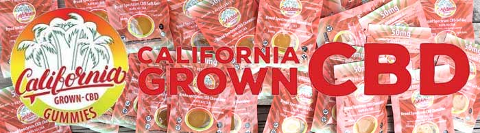 California Grown CBD/CBD Gummies Napa Nectar 50mgAeyztXyNg Zx CBDO~