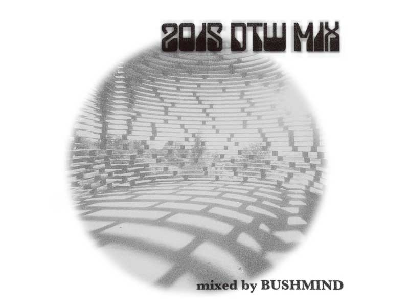 MIX CD/BUSHMIND 2015 DTW MIX MAX FREEMAN̊߂ʃubV}Ch̃~bNXCD[I