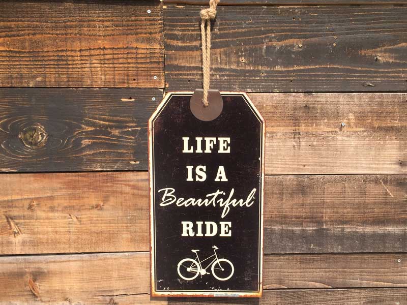 Vi Life is Beautiful Ride UsedH{ꂽvCX^O̗lȃuL̊ŔɎ]Ԃ̊G