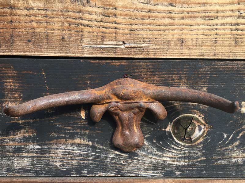 Antique、Vintage Cast Iron Long Horn Bull、アンティーク　アイアン鋳物のロングホーンのオブジェ