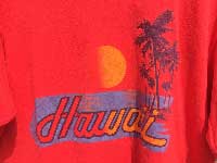 US 古着 US Used S/S Tee Hawaiiハワイの半袖 Tシャツ