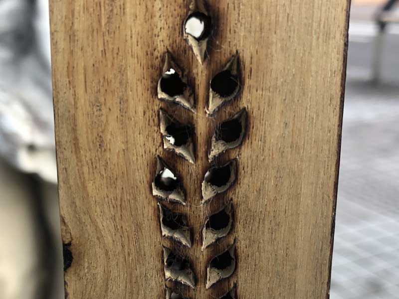 Ch̃}S[Ebĥă^[ X^h^ Mango Wood Incense Tower Stand 